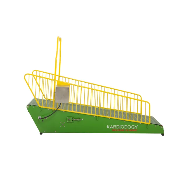 Kardiodogy Trainer Classic