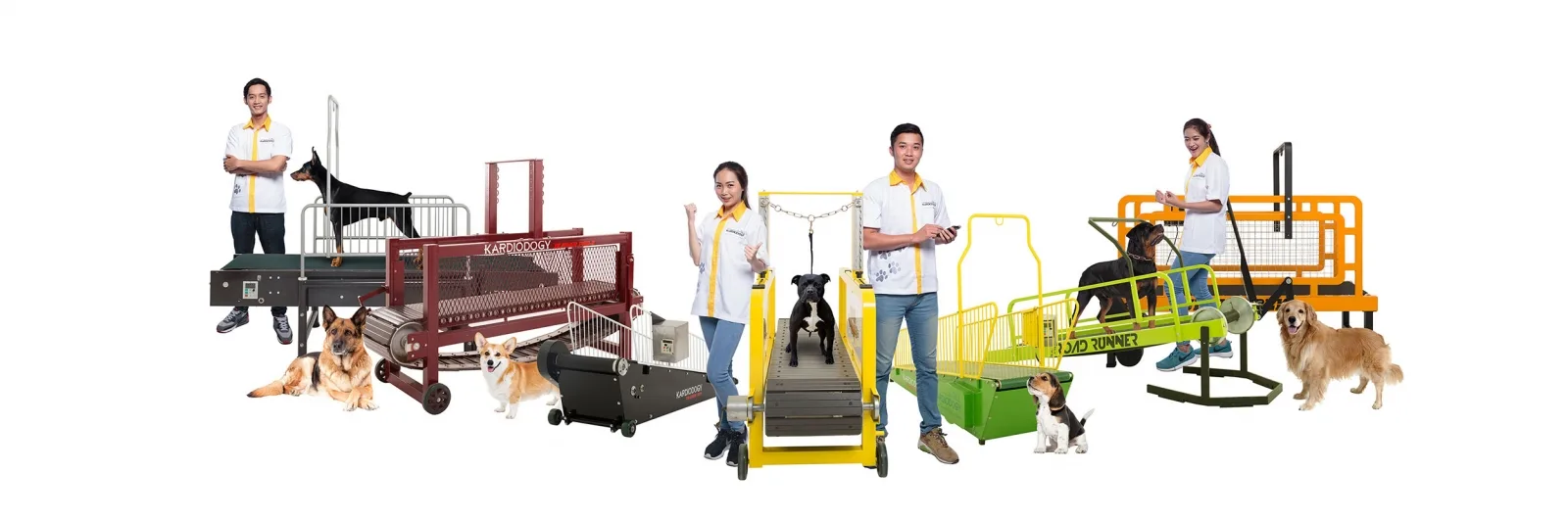 Jajaran treadmill anjing Kardiodogy untuk semua ukuran trah