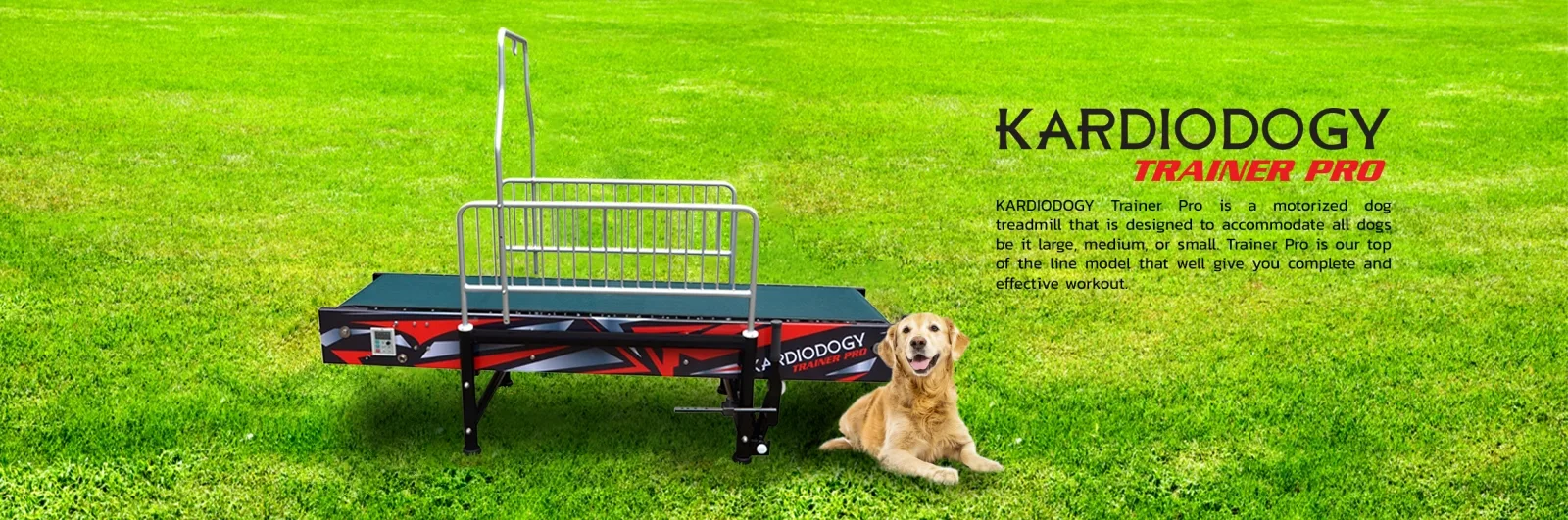 Kardiodogy Trainer Pro, treadmill motorized untuk semua ukuran trah